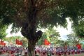 Trường TH Phan Chu Trinh tổ chức Lễ khai giảng ngắn gọn, trang trọng